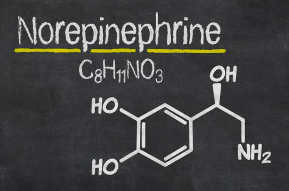 Krýo: Harnessing the Power of Norepinephrine