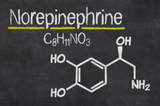 Krýo: Harnessing the Power of Norepinephrine