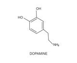 Why is Polar Plunging Being Compared to Cocaine Highs?