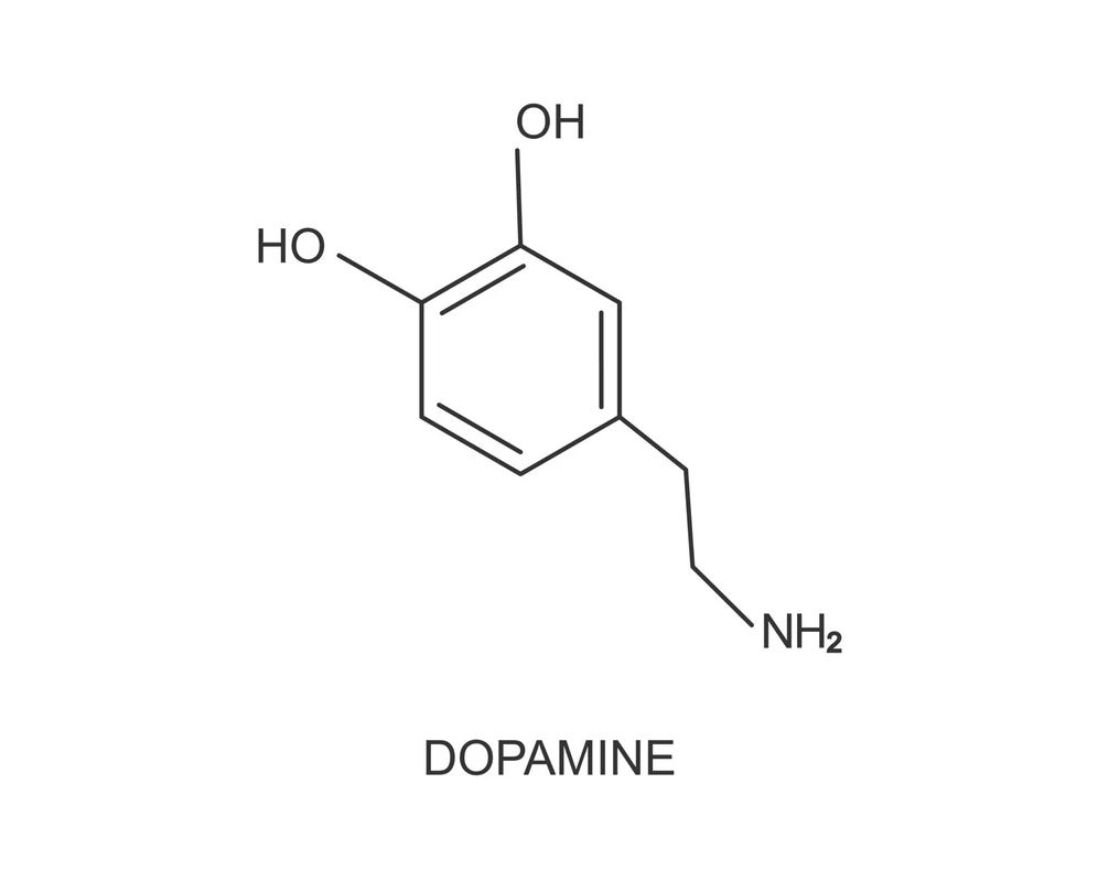 Why is Polar Plunging Being Compared to Cocaine Highs?